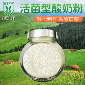 手工自制原味酸奶发酵菌粉剂酸奶粉